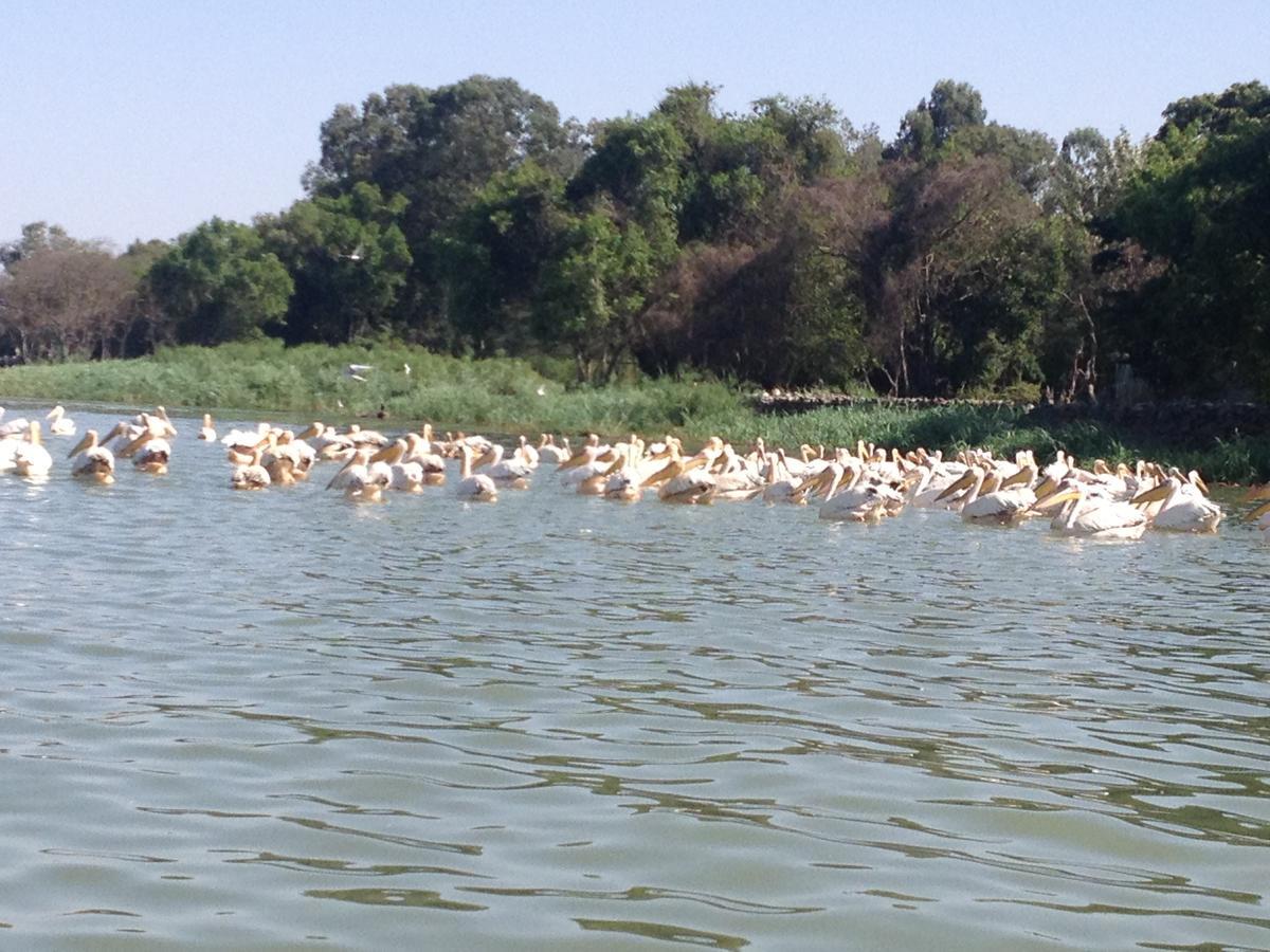 Lakemark Hotel And Tour Service Bahir Dar Eksteriør billede