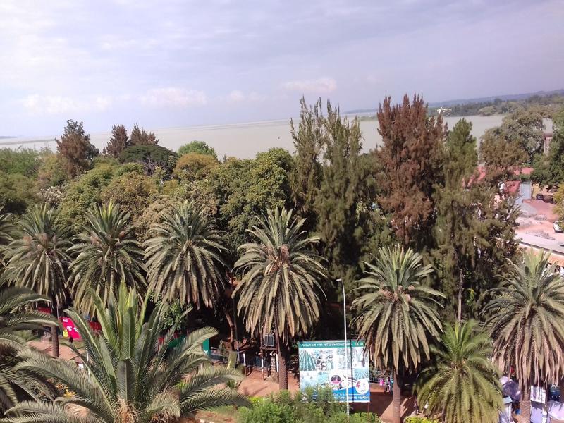 Lakemark Hotel And Tour Service Bahir Dar Eksteriør billede